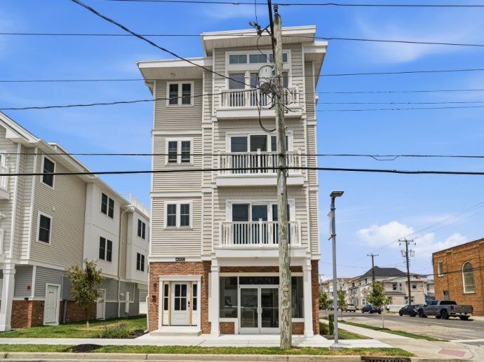 Brand New Listing With Rooftop Deck! Pups up to 15lbs!